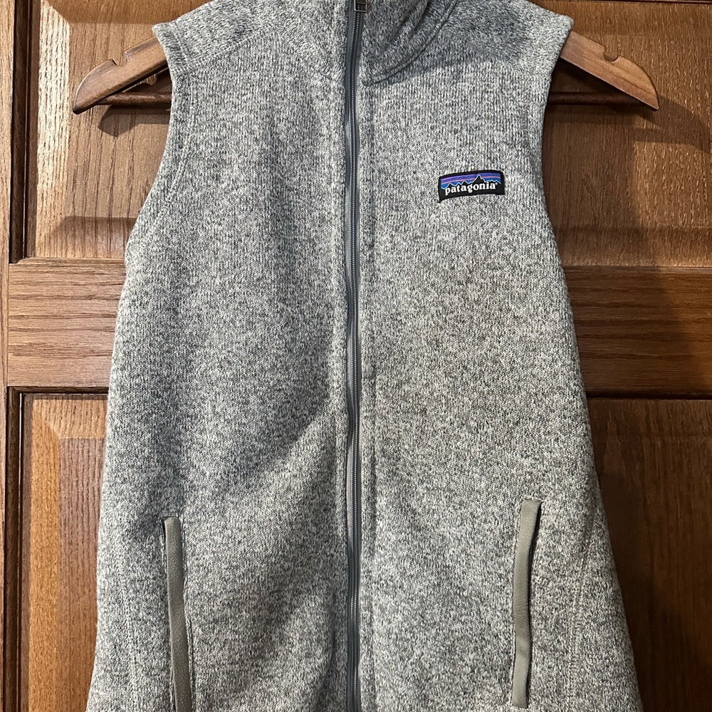 Patagonia Gray Vest